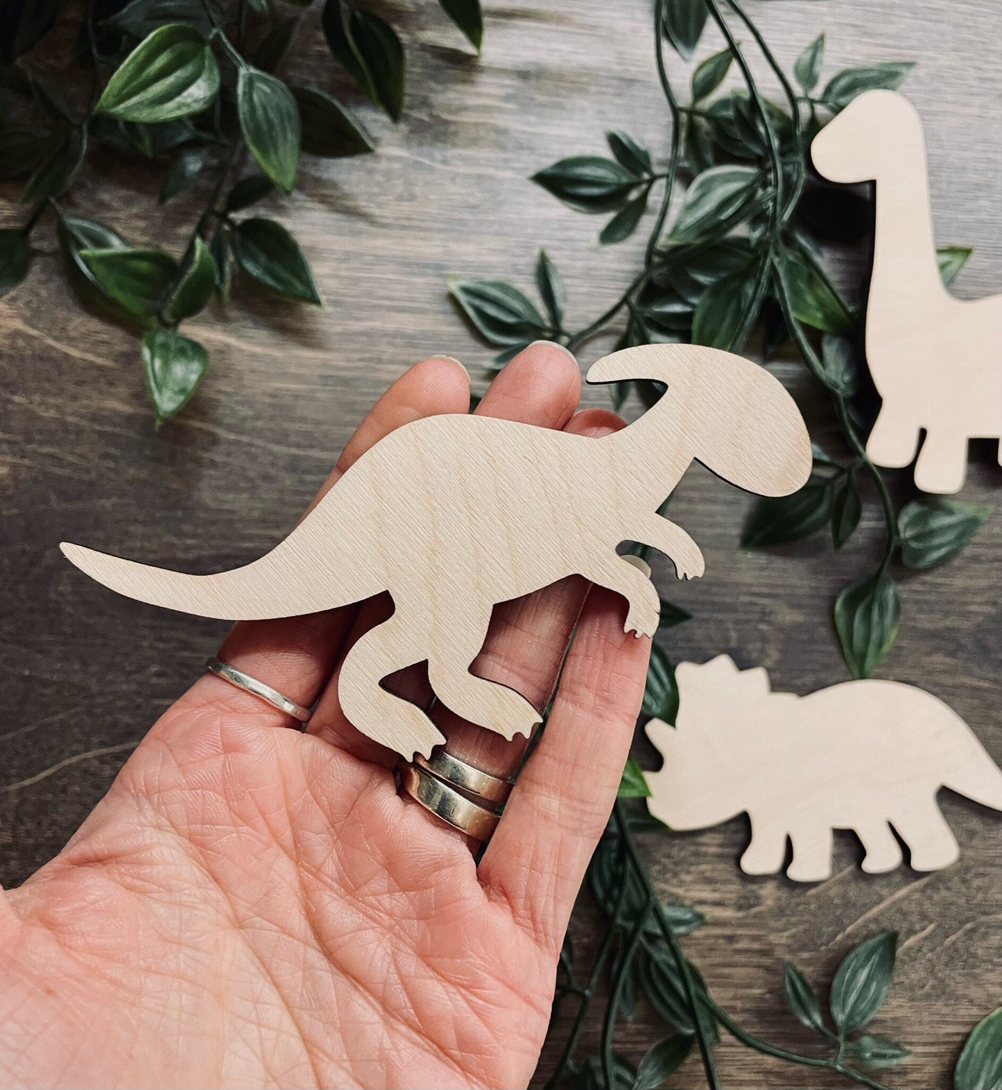 Pack of 5 Wooden Dinosaur Cutouts / Dinosaur Wall Decor made from 3mm Plywood | 100-200mm in Size