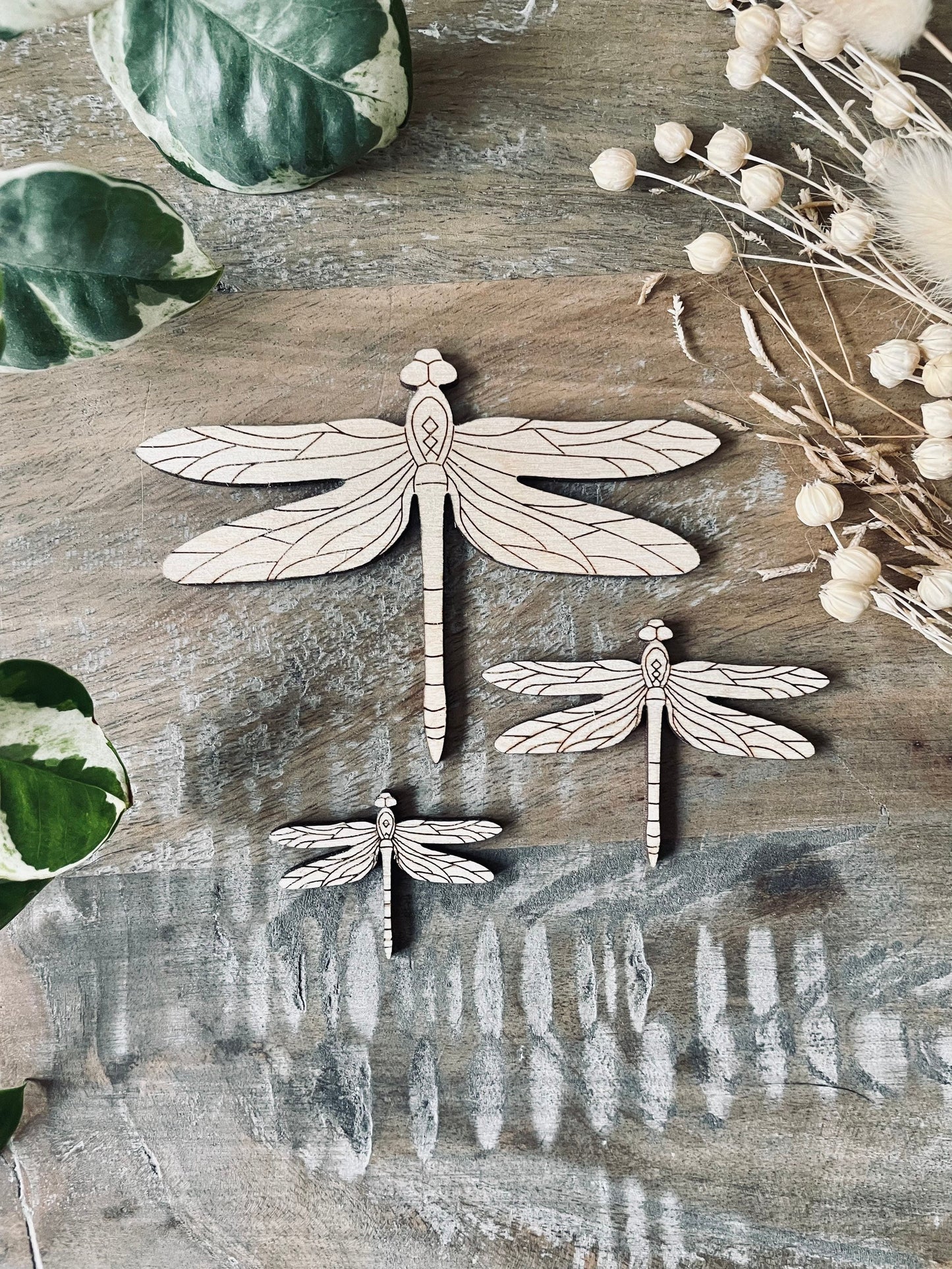10x Handmade Dragonfly / Wood Insect from 40mm Wide | 3mm Thick Laser Cut Plywood Blanks | Craft Shapes