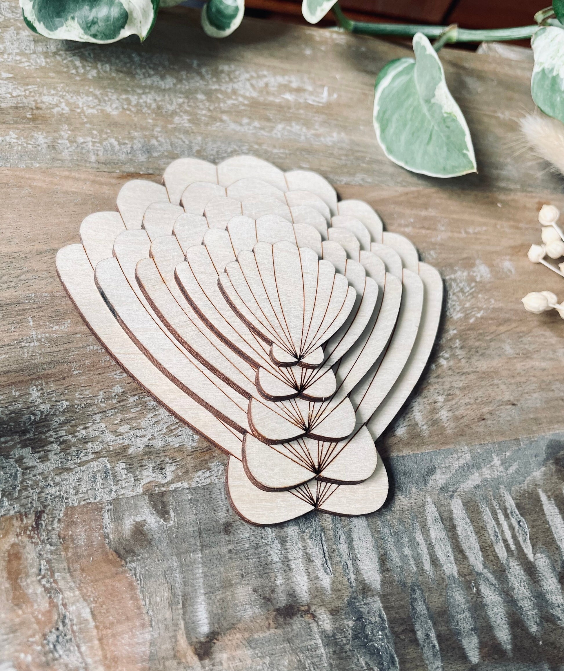10x Wooden Seashell Shapes from 40mm Tall | 3mm Thick Laser Cut Plywood Blanks | Craft Shapes